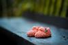 janko-ferlic-jjDqU0P0-SM-unsplash