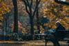 Solitary Reader in Autumn Park