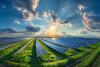 Renewable Energy Solar Farm at Sunrise_Sunset