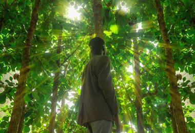 pexels-ayobami-adepoju-61080370-34469028