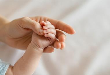 Parent and Baby Hands