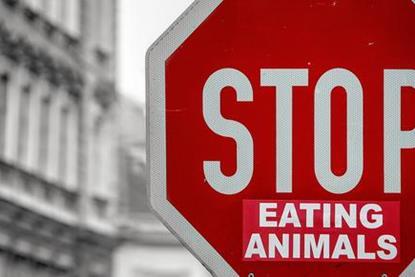Stop-Eating-Animals_article_image.jpg
