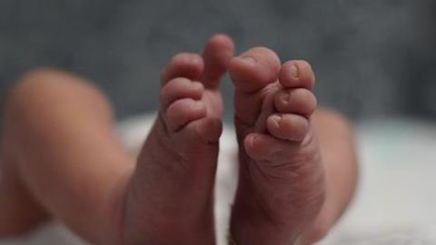 baby-feet-4746255_1920_article_image.jpg