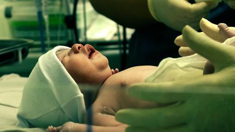 pexels-brunocurly-19976471