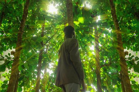 pexels-ayobami-adepoju-61080370-34469028